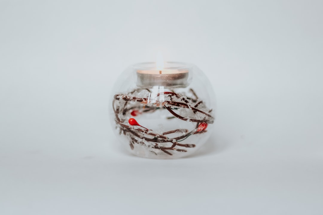 Elevate Your Space: Budget-Friendly Home Decor Products That Wow